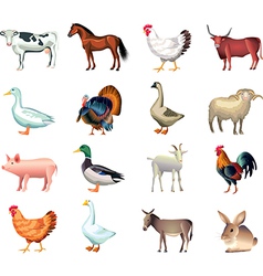 Farm animals vector image