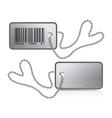 Metallic tag and chain vector image