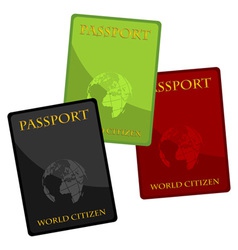 Passports vector image