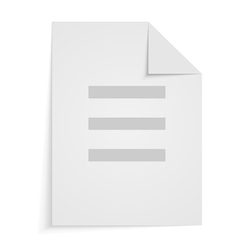 Document Icon vector image