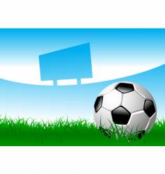 Soccer ball on grass field vector image