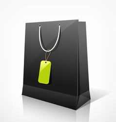 Paper bag vector image