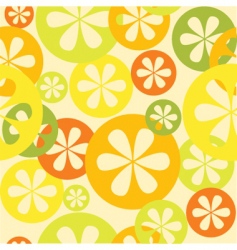 Citrus background vector image