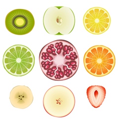 Fruit Slice Set vector image