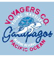 Galapagos turtle vector image