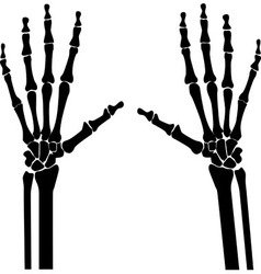 Xray hands vector image