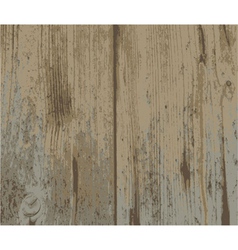 Wood texture Wood texture vector image