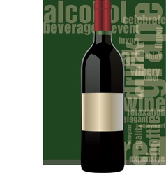 Bottle of wine vector image