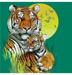 Tiger family in jungle vector image