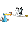 Stork Delivering A Newborn Baby Boy vector image
