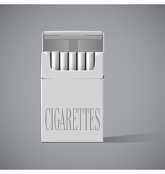 Pack of cigarettes vector image
