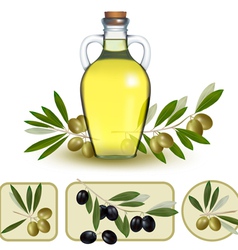 Bottle of oil with green olives and olive oil vector image