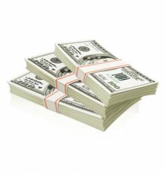 Packs of dollars vector image