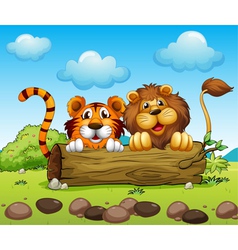 A lion and a tiger hiding vector image