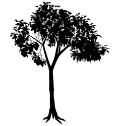 Tree Silhouette vector image