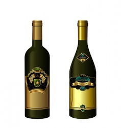 Wine bottles vector image