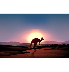 A sunset at the desert with a kangaroo vector image