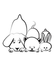 Dog cat and rabbit logo vector image