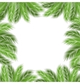 Leaves of palm vector image