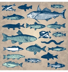 Vintage fish set vector image