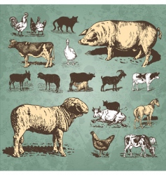 Farm animals vintage set vector image