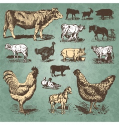 Farm animals vintage set vector image