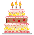 Cake With Three Candles vector image