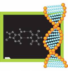 DNA vector image
