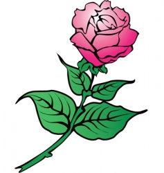Rose flower vector image
