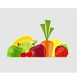 Fresh fruits vector image