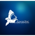 Shark concept vector image