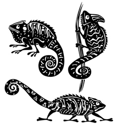 Black and white chameleon vector image