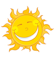 Sun smiling vector image