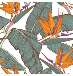 Seamless background with palm leaves and tropical vector image