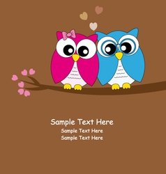 Owls love vector image