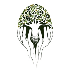 Tree in hands vector image