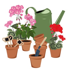 Potted flowers and watering can vector image