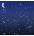 Night Sky vector image