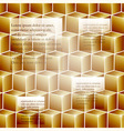 Infographic template background with golden cubes vector image