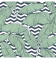 Tropical palm leaves seamless background vector image