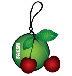 Air freshener vector image