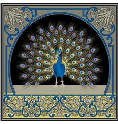 Frame with peacock vector image