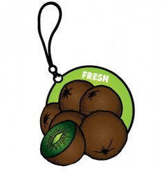 Air freshener vector image