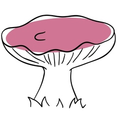 Russule vector image