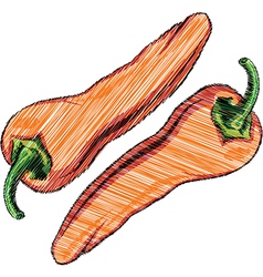 Chilli vector image