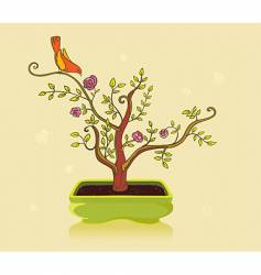 Bonsai vector image