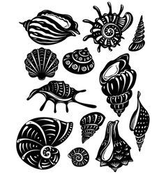 Set of decorative shell vector image