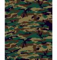 Camouflage vector image