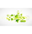 Sun leaves vector image