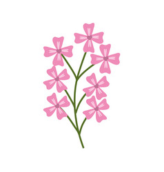 pink branch flowers decoration vector image vector image